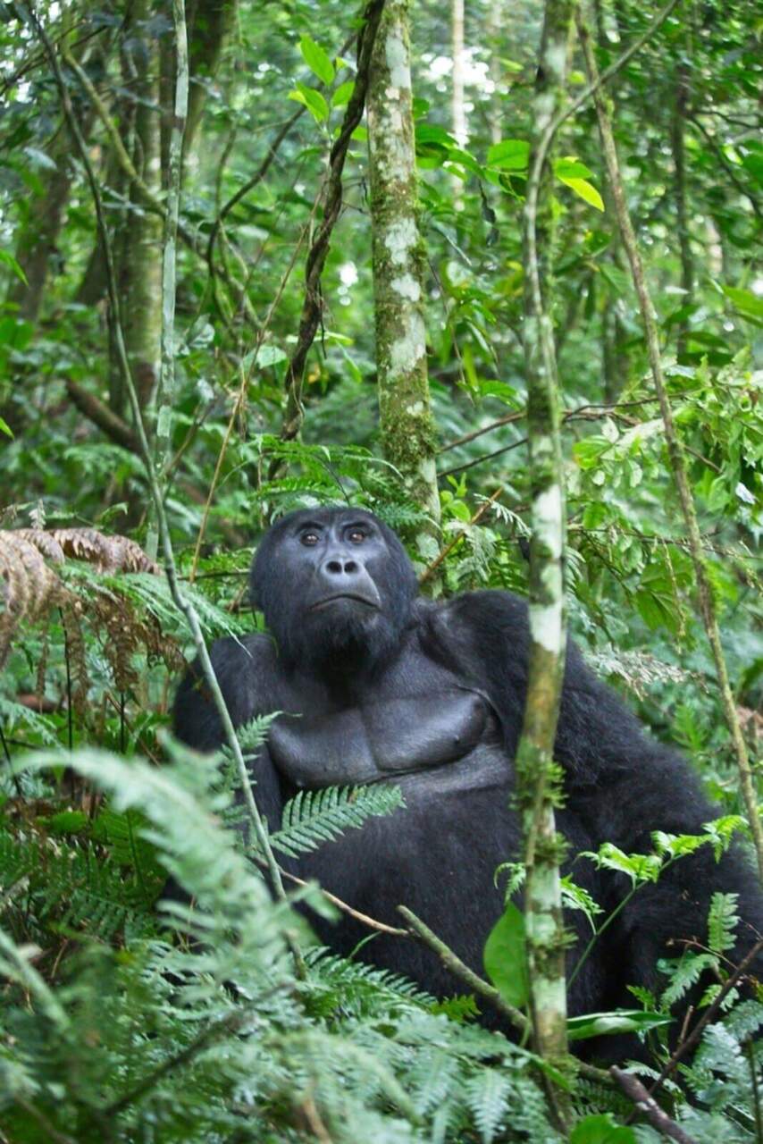 Uganda